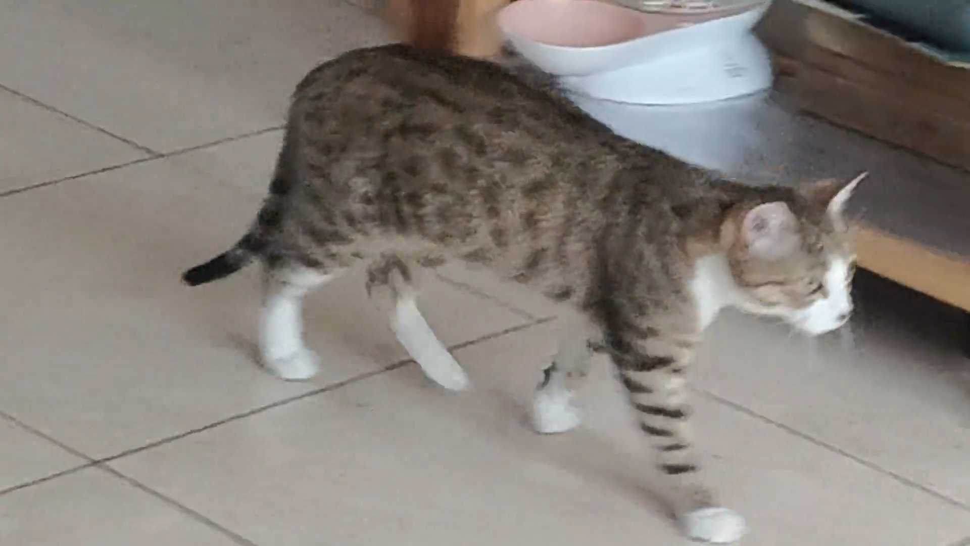 MATEO MORNAR MONACO WORKSHOP